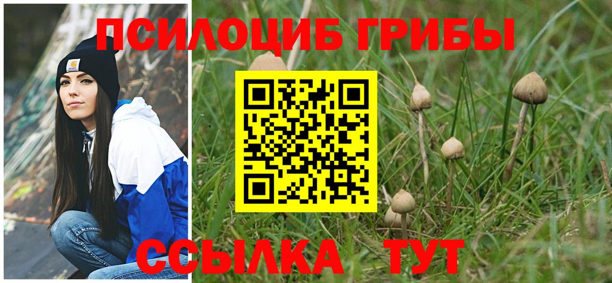 Лабинск  Псилоцибиновые грибы MAGIC MUSHROOMS  Галлюциногенные грибы мицелий  купить наркотик  Вход с VPN 