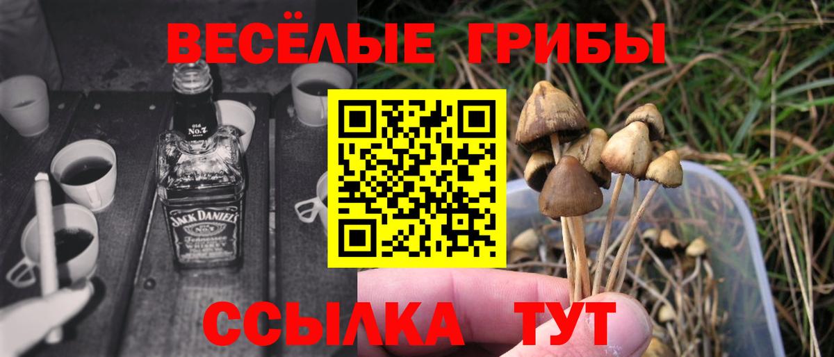 Псилоцибиновые грибы Cubensis Лабинск